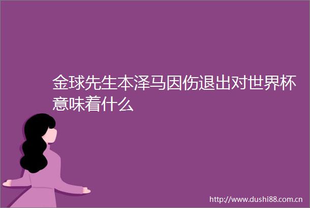 金球先生本泽马因伤退出对世界杯意味着什么