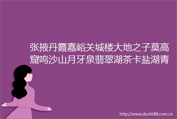 张掖丹霞嘉峪关城楼大地之子莫高窟鸣沙山月牙泉翡翠湖茶卡盐湖青海湖塔尔寺麦积山石窟伏羲庙双飞三动8日游