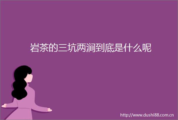 岩茶的三坑两涧到底是什么呢