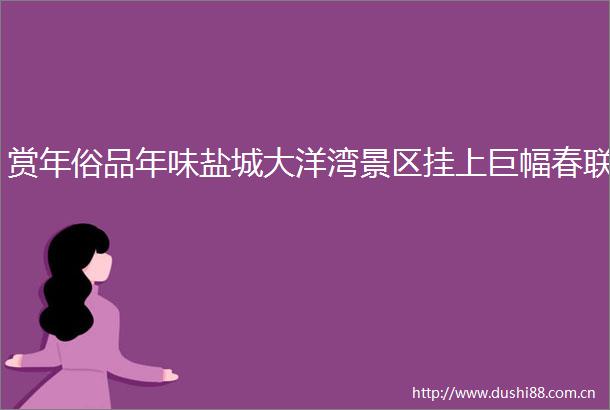 赏年俗品年味盐城大洋湾景区挂上巨幅春联