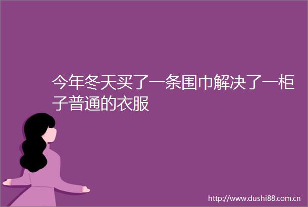 今年冬天买了一条围巾解决了一柜子普通的衣服