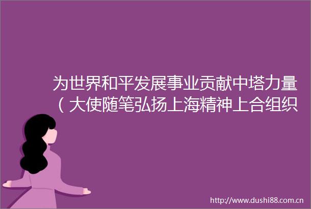 为世界和平发展事业贡献中塔力量（大使随笔弘扬上海精神上合组织在行动）