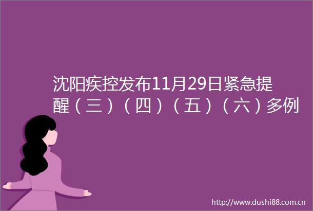 沈阳疾控发布11月29日紧急提醒（三）（四）（五）（六）多例核酸检测结果异常轨迹公布