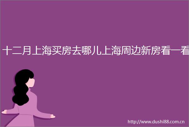 十二月上海买房去哪儿上海周边新房看一看