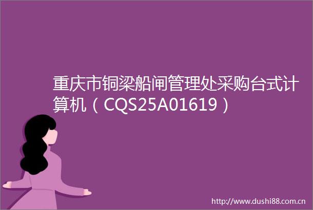 重庆市铜梁船闸管理处采购台式计算机（CQS25A01619）框架协议二次竞价公告