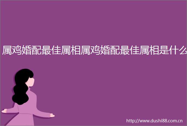 属鸡婚配最佳属相属鸡婚配最佳属相是什么