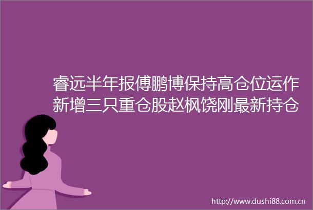 睿远半年报傅鹏博保持高仓位运作新增三只重仓股赵枫饶刚最新持仓