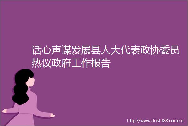 话心声谋发展县人大代表政协委员热议工作报告