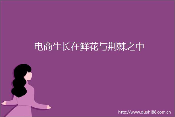电商生长在鲜花与荆棘之中