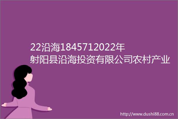 22沿海1845712022年射阳县沿海投资有限公司农村产业融合发展专项债券2024年跟踪评级报告