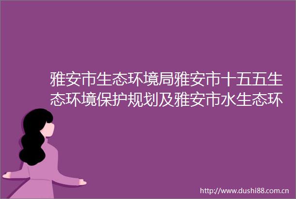 雅安市生态环境局雅安市十五五生态环境保护规划及雅安市水生态环境保护十五五规划编制采购代理服务比选项目比选文件