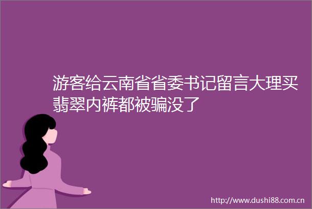 游客给云南省省委书记留言大理买翡翠内裤都被没了