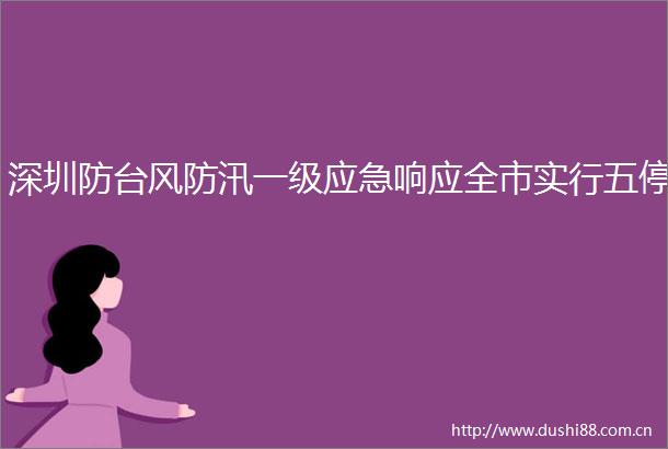 深圳防台风防汛一级应急响应全市实行五停