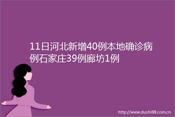 11日河北新增40例本地确诊病例石家庄39例廊坊1例