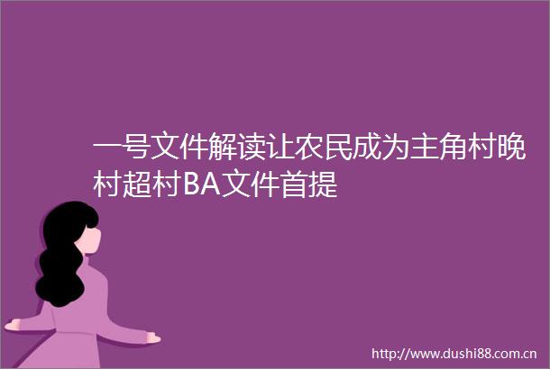 一号文件解读让农民成为主角村晚村超村BA文件首提