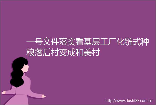 一号文件落实看基层工厂化链式种粮落后村变成和美村