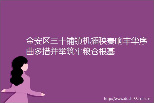 金安区三十铺镇机插秧奏响丰华序曲多措并举筑牢粮仓根基