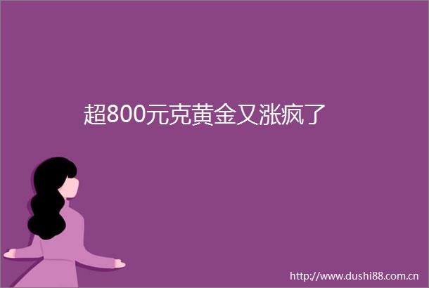 超800元克黄金又涨疯了