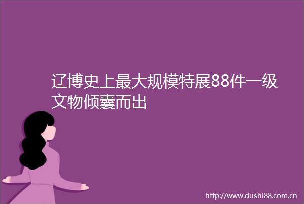 辽博史上最大规模特展88件一级文物倾囊而出