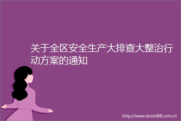 关于全区安全生产大排查大整治行动方案的通知