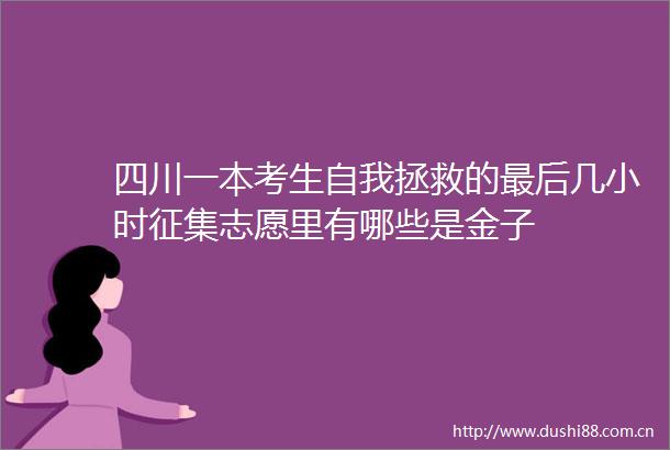 四川一本考生自我拯救的最后几小时征集志愿里有哪些是金子