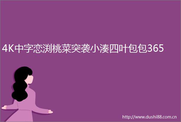 4K中字恋渕桃菜突袭小湊四叶包包365