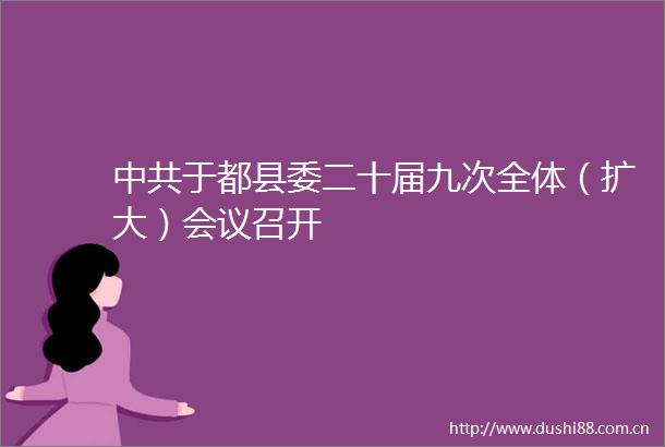 于都县委二十届九次全体（扩大）会议召开