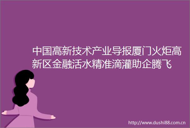 高新技术产业导报厦门火炬高新区金融活水精准滴灌助企腾飞