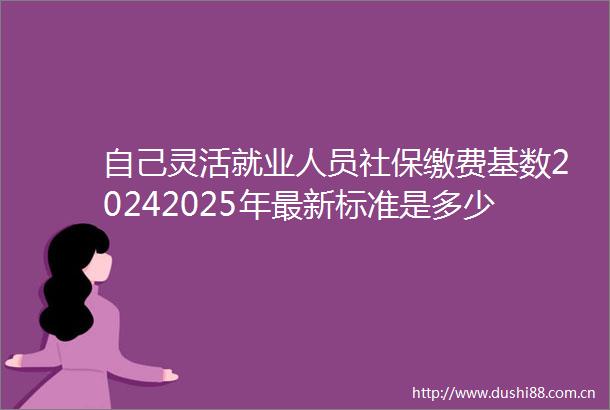 自己灵活就业人员社保缴费基数20242025年最新标准是多少灵活就业交哪个档次最划算（2025年2月15日）