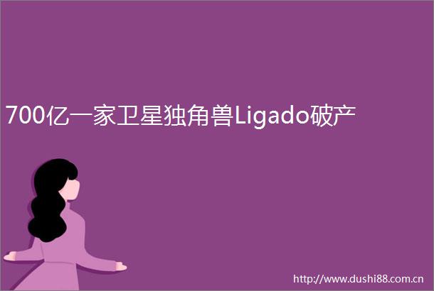 700亿一家卫星独角兽Ligado破产