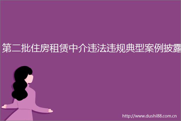 第二批住房租赁中介典型案例披露