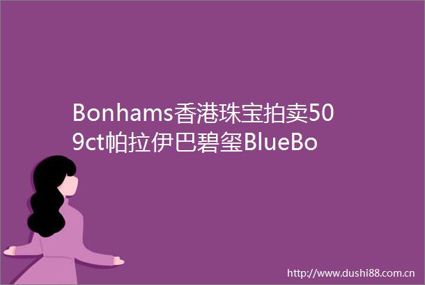 Bonhams香港珠宝拍卖509ct帕拉伊巴碧玺BlueBook黄钻项链