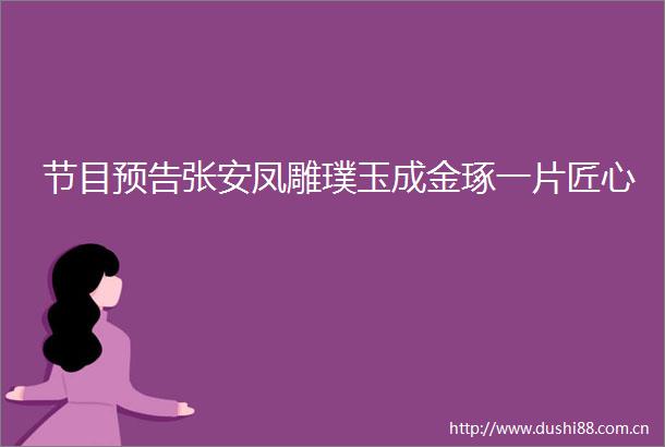 节目预告张安凤雕璞玉成金琢一片匠心