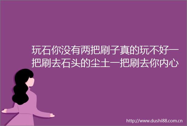 玩石你没有两把刷子真的玩不好一把刷去石头的尘土一把刷去你内心的浮躁