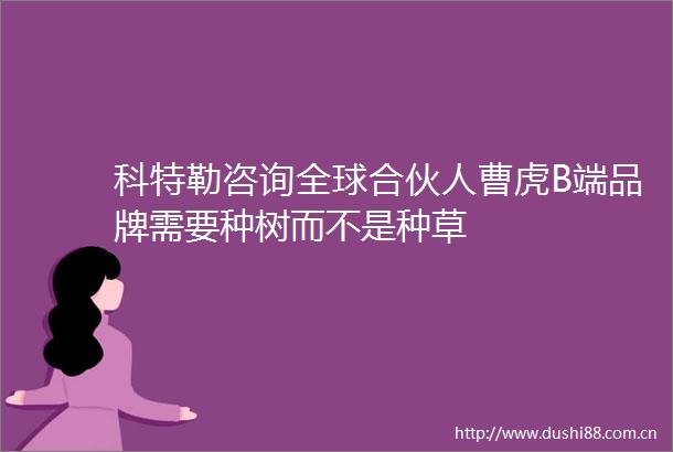 科特勒咨询全球合伙人曹虎B端品牌需要种树而不是种草