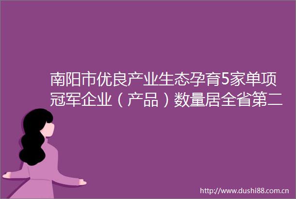 南阳市优良产业生态孕育5家单项冠军企业（产品）数量居全省第二