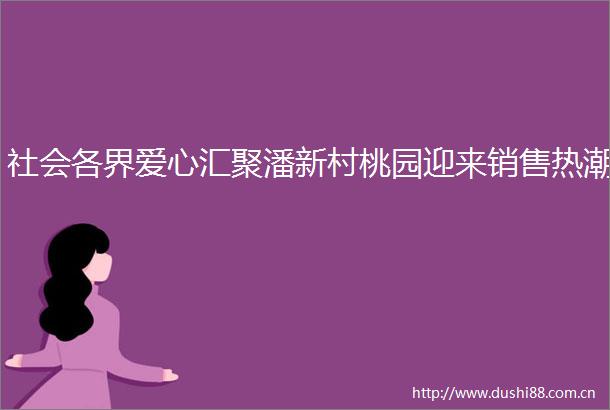 社会各界爱心汇聚潘新村桃园迎来销售热潮