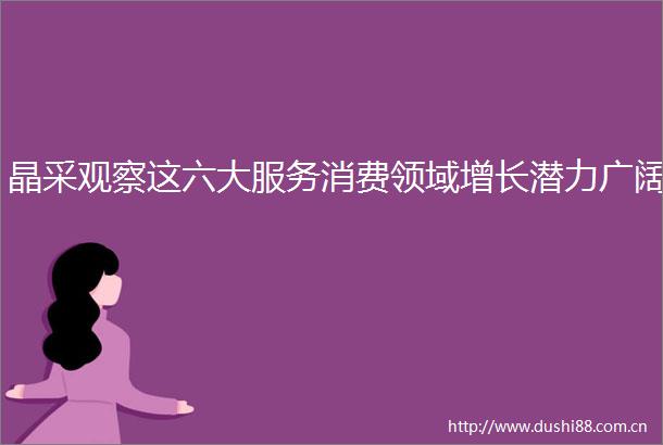 晶采观察这六大服务消费领域增长潜力广阔