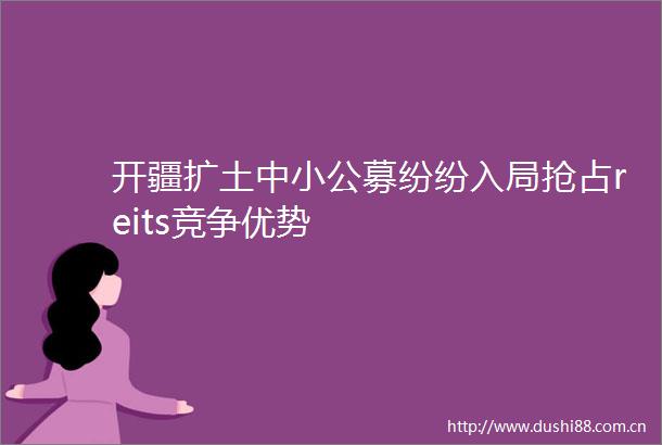 开疆扩土中小公募纷纷入局抢占reits竞争优势