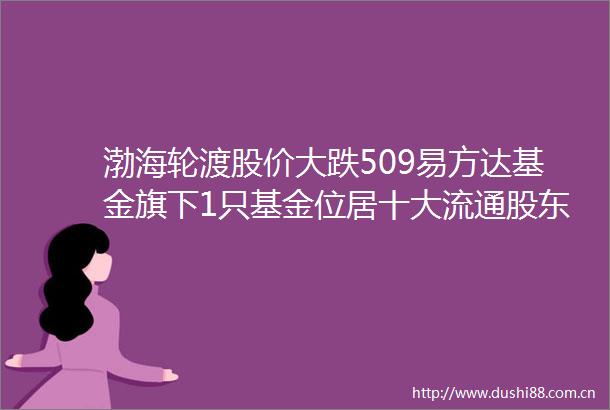 渤海轮渡股价大跌509易方达基金旗下1只基金位居十大流通股东持有22498万股浮亏损失12599万元