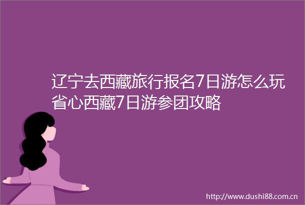 辽宁去西藏旅行报名7日游怎么玩省心西藏7日游参团攻略