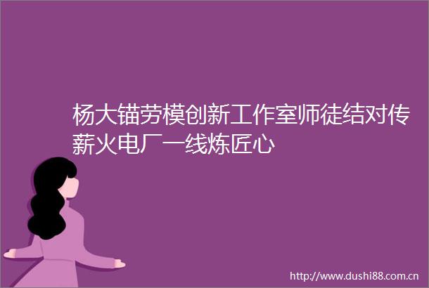 杨大锚劳模创新工作室师徒结对传薪火电厂一线炼匠心