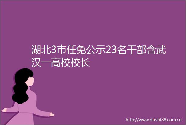 湖北3市任免公示23名含武汉一高校校长