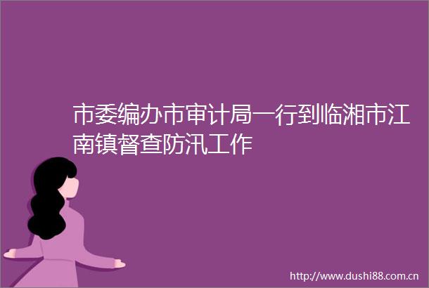 市委编办市审计局一行到临湘市江南镇督查防汛工作