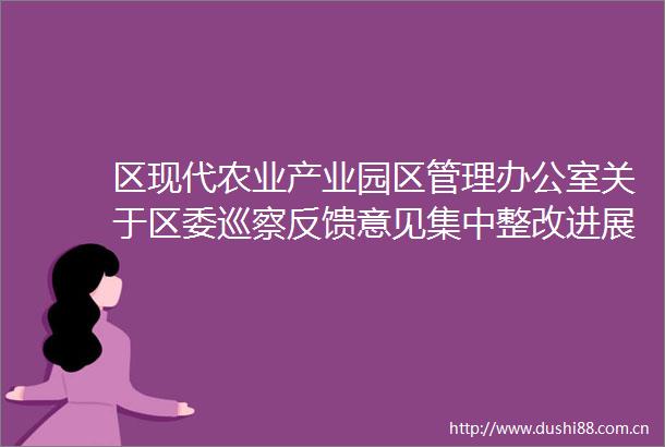 区现代农业产业园区管理办公室关于区委巡察反馈意见集中整改进展情况的通报
