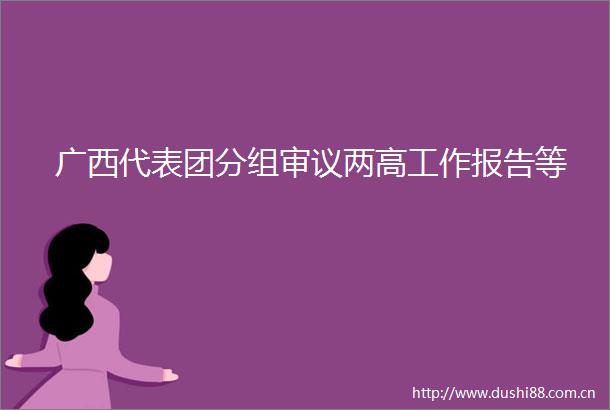 广西代表团分组审议两高工作报告等