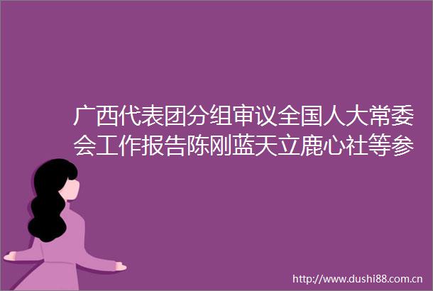 广西代表团分组审议全国人大常委会工作报告陈刚蓝天立鹿心社等参加