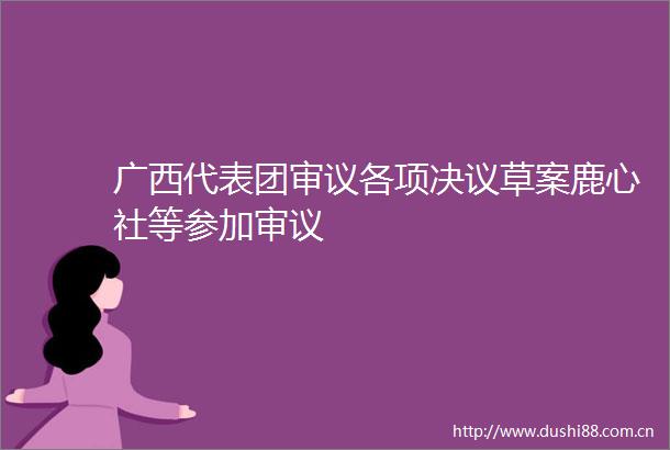广西代表团审议各项决议草案鹿心社等参加审议