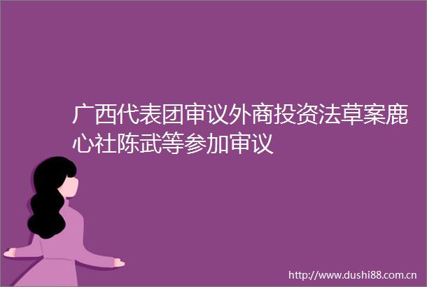 广西代表团审议外商投资法草案鹿心社陈武等参加审议