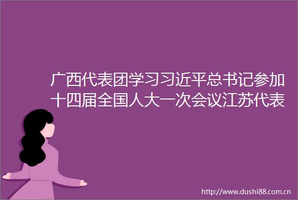 广西代表团学习总书记参加十四届全国人大一次会议江苏代表团审议时的重要讲话精神